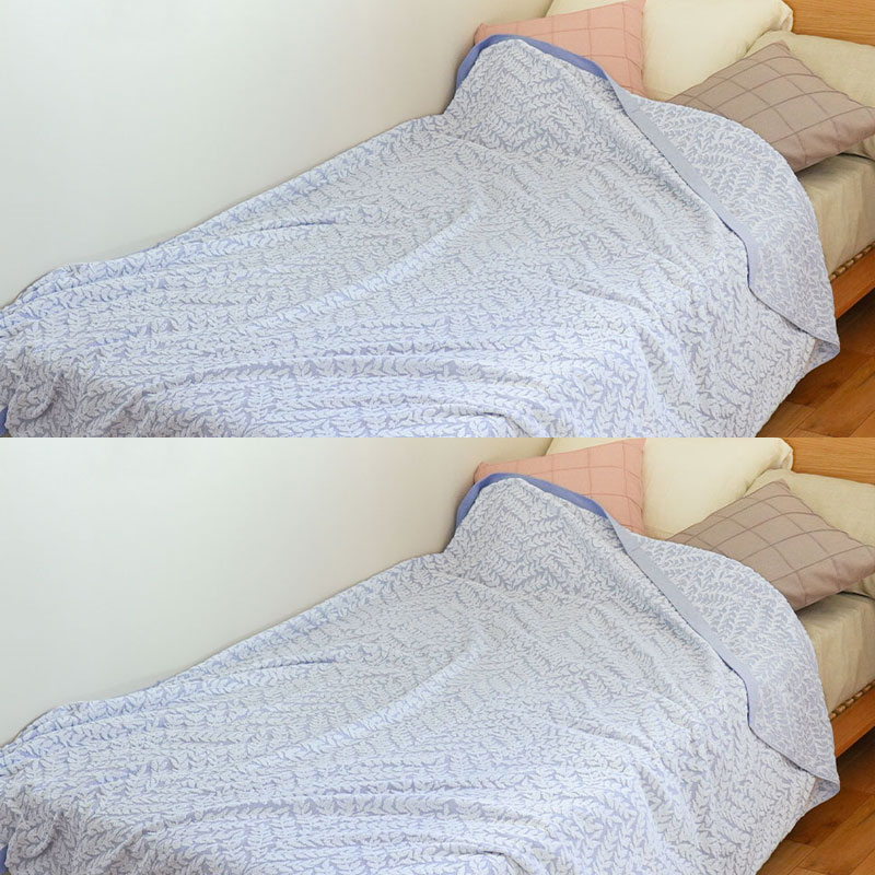 西川（nishikawa） 今治 タオルケット シングル 2枚セット set 今治産