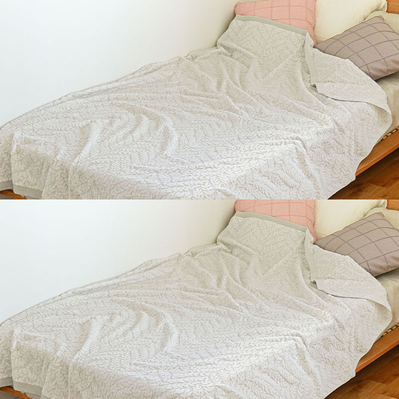 西川（nishikawa） 今治 タオルケット シングル 2枚セット set 今治産