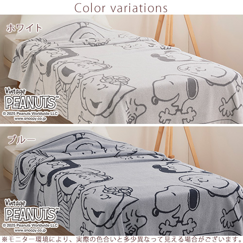 新品未開封ハワイ限定SURF'S UP PEANUTS×ペンドルトンタオルケット