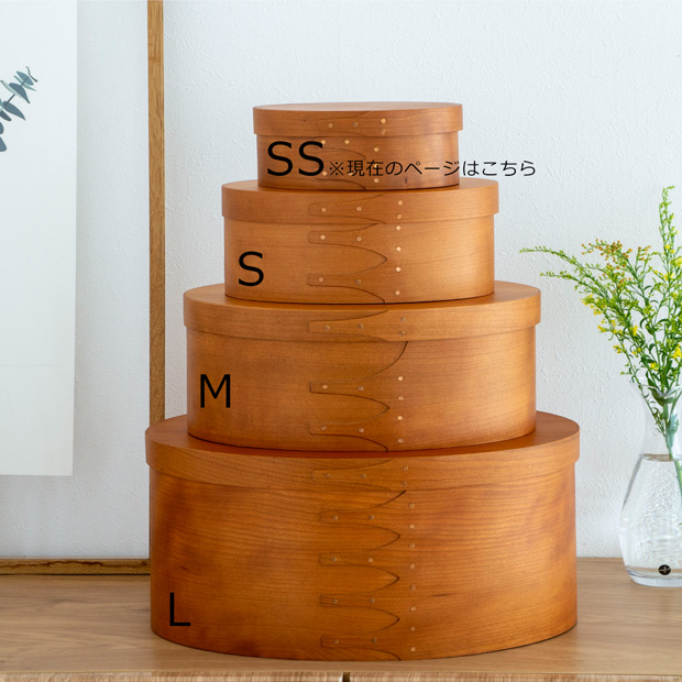 AXCIS（アクシス） ＼3/8はポイント10倍／ シェーカーボックス SS