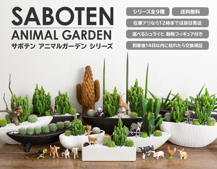 サボテン 寄せ植え トゲなし ハートタイプ 選べる動物フィギュア付