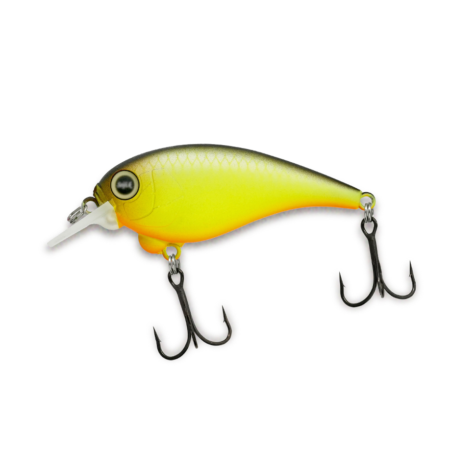 レヴォニック サラモア REVONIK SaraMoa : ふるきん釣具店 Yahoo!店