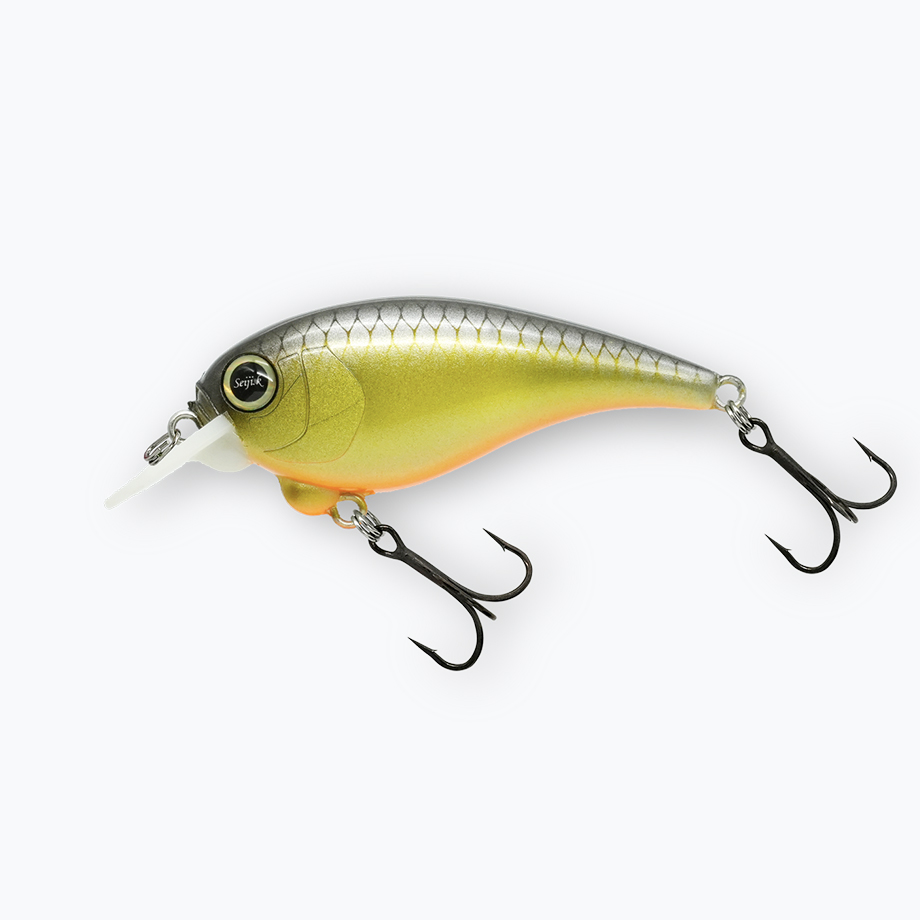 レヴォニック サラモア ドライボーン REVONIK SaraMoa DryBone : ふる