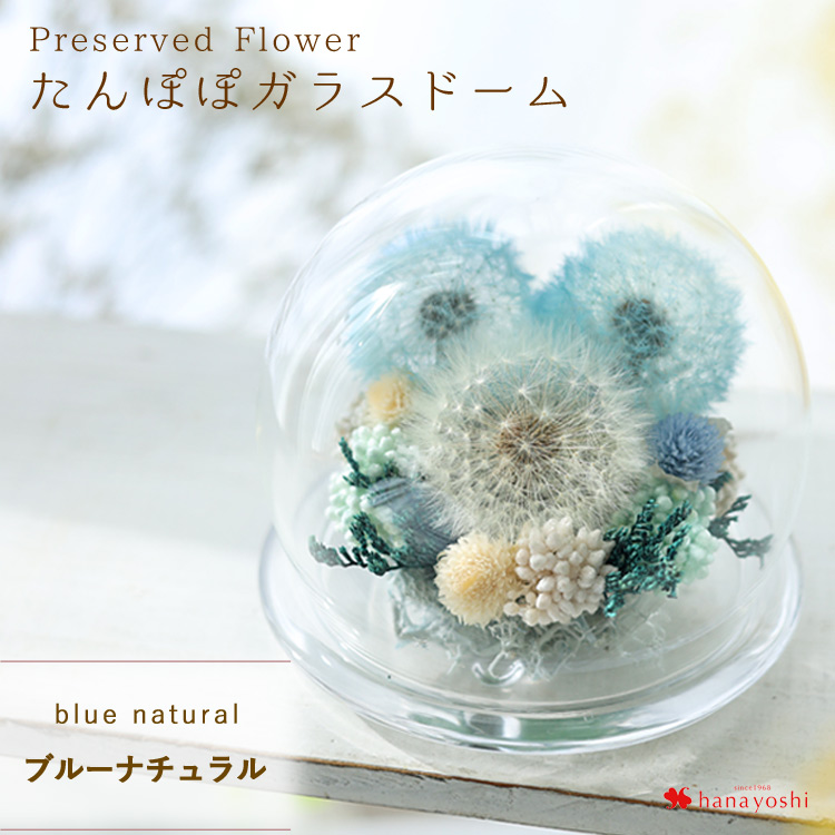 フラワーマーケット花由 プリザーブドフラワー ドライフラワー