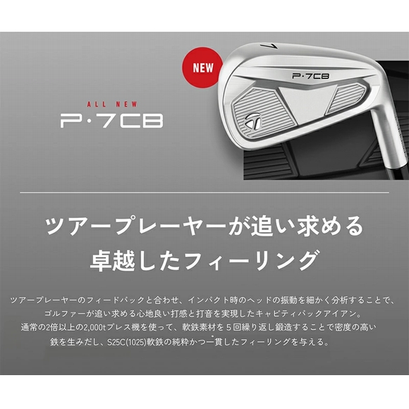 P700シリーズ テーラーメイド P7CB アイアン 5本セット（#6-PW）日本