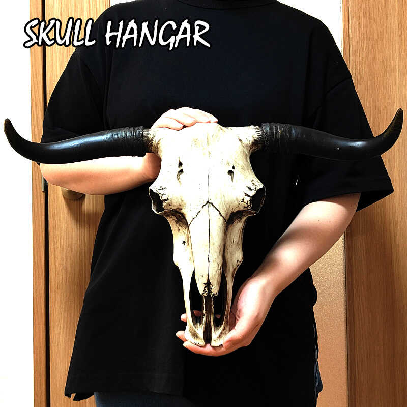 アメリカン レトロ スカルハンガー 牛 オブジェ おしゃれ ウエスタン
