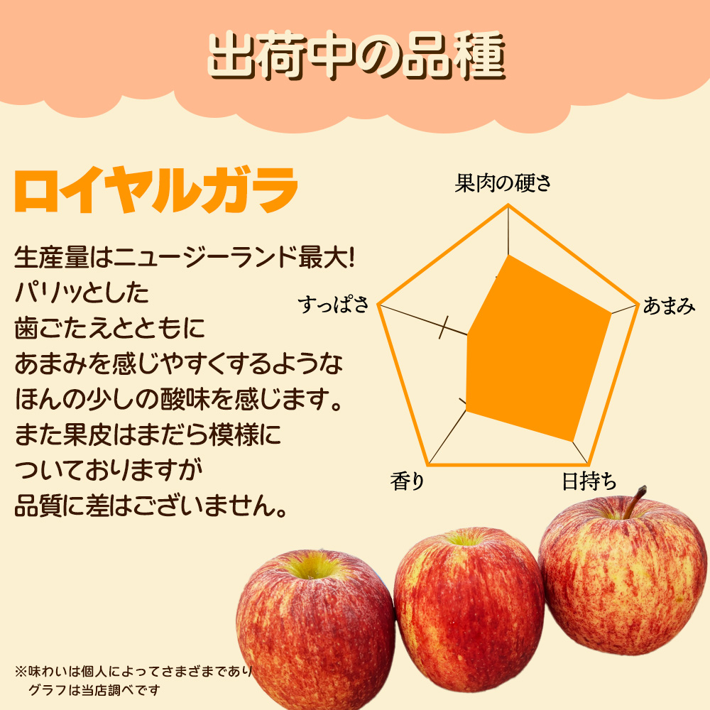 りんご リンゴ 林檎 ニュージーランド産 ロイヤルガラ 10玉 約 1.8kg