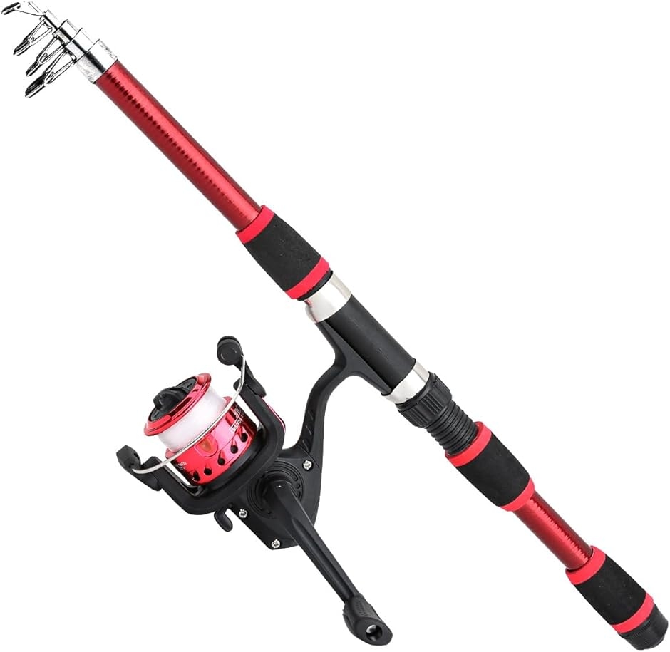 釣りセット 初心者 釣り道具 伸縮式釣竿2本＋スピニングリール2個