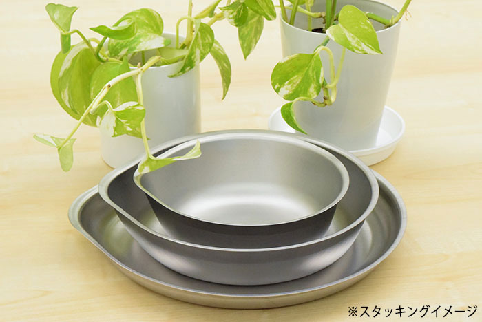 THE NORTH FACE（ザ ノースフェイス） プレート ランド アームス (Land