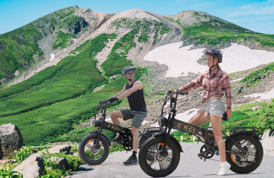 アシストikei - Yahoo!ショッピング