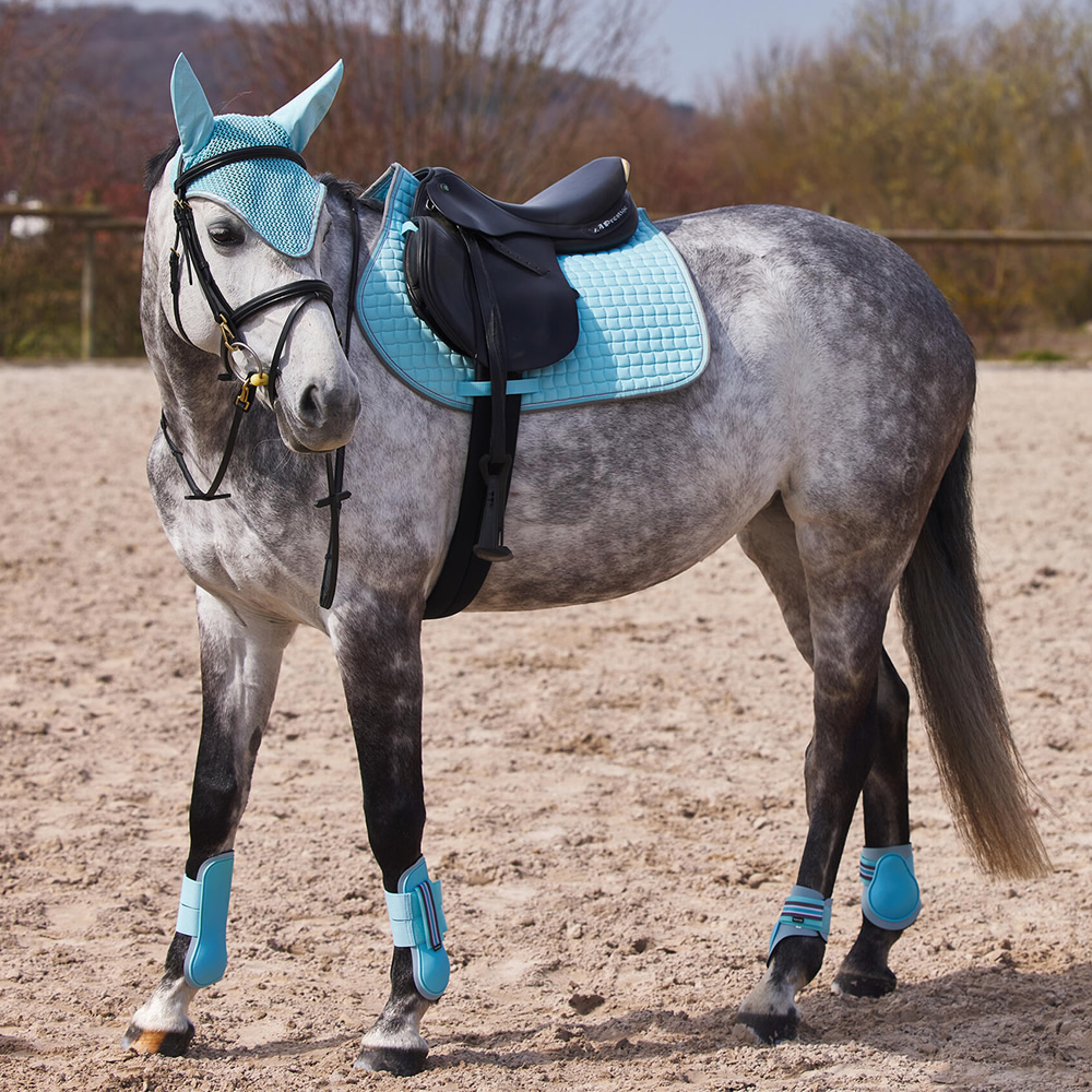 Horze 後肢用レッグプロテクターHPB22 ホースブーツ フェットロック