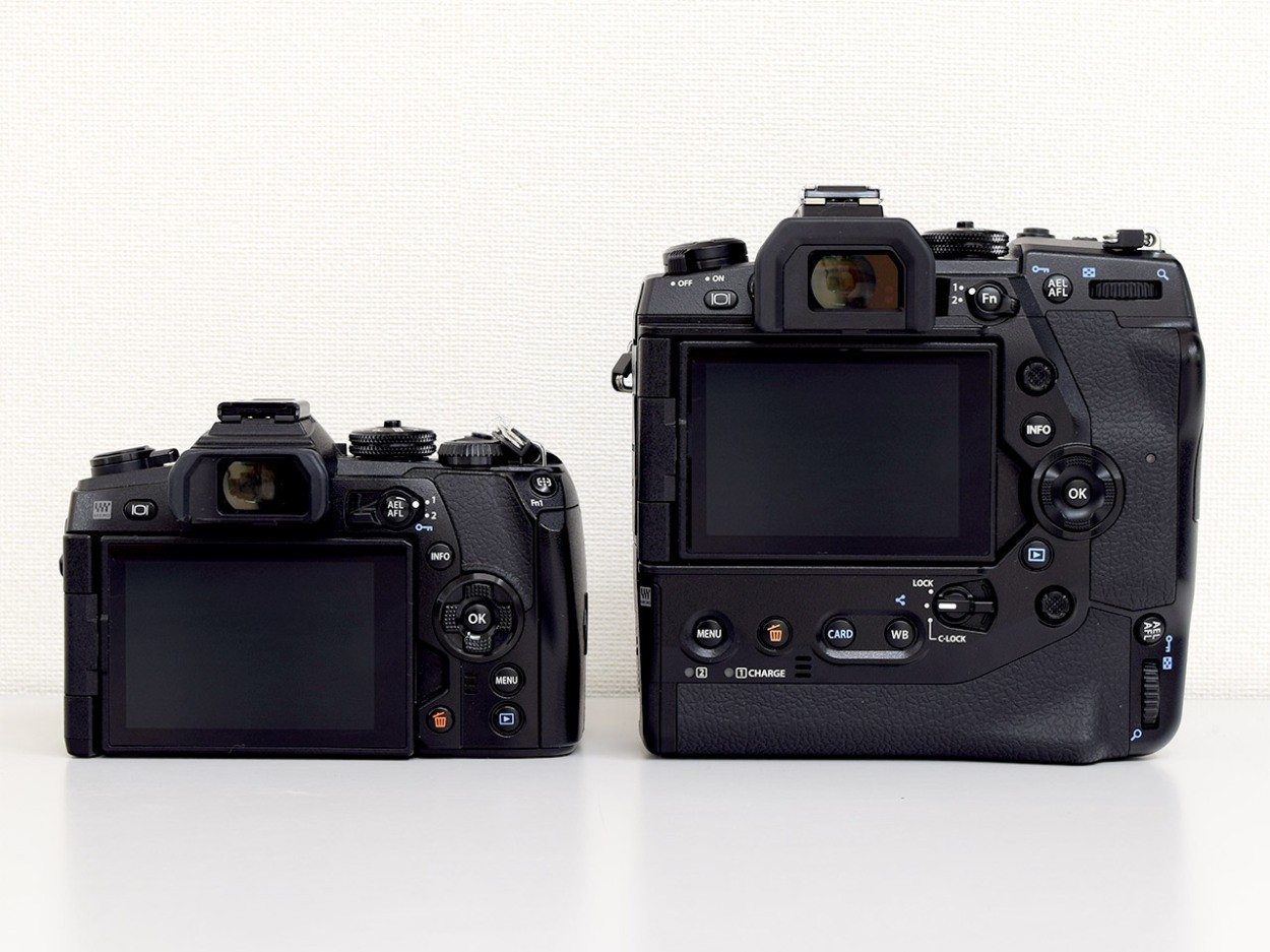オリンパス カメラ「OM-D E-M1X」を使ってみた＆作例｜試用レポート