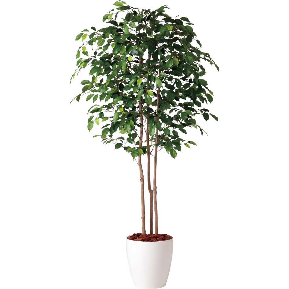 神戸花物語 フェイクグリーン 観葉植物 人工観葉 大型 光触媒