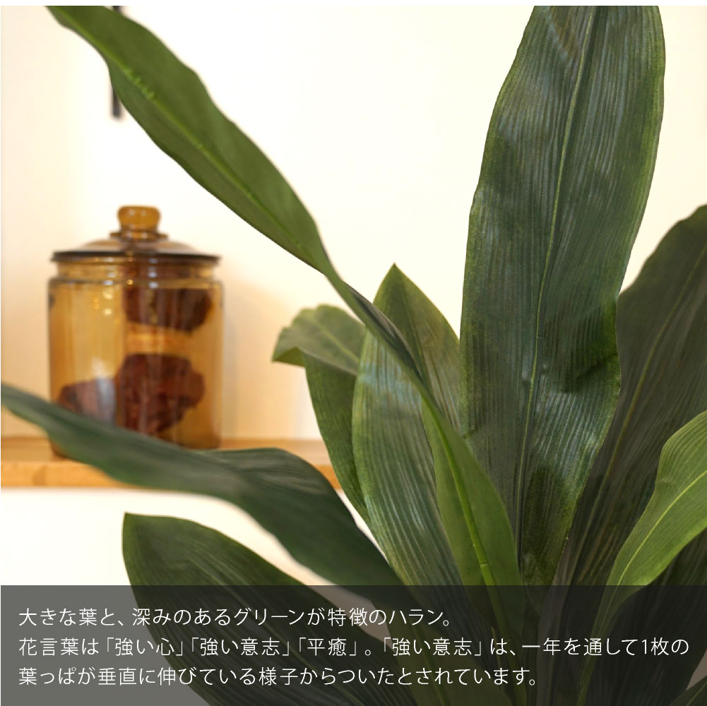 神戸花物語 フェイクグリーン 観葉植物 人工観葉 大型 光触媒 造花