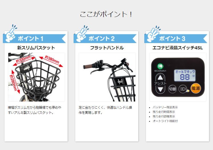 パナソニック グリッター BE-ELGL034R ダークレッドローズ 2021年