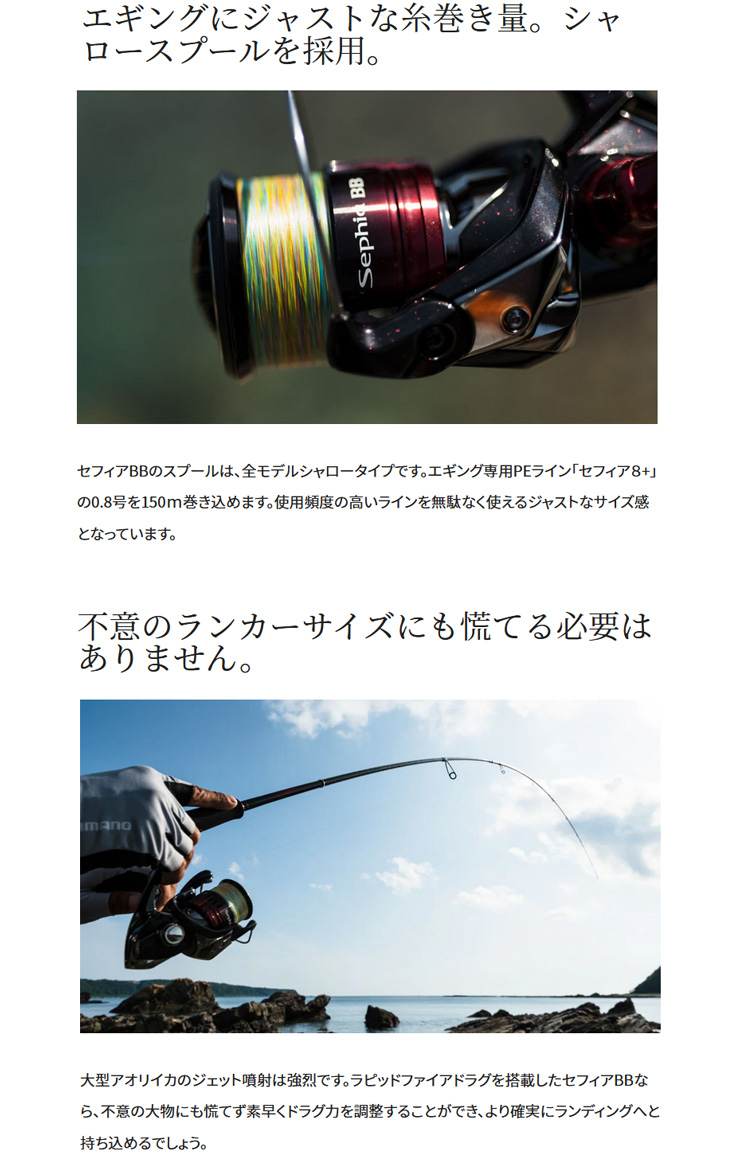 Sephia セフィア BB【Sephia BB】 C3000SDHHG 045584 シマノ