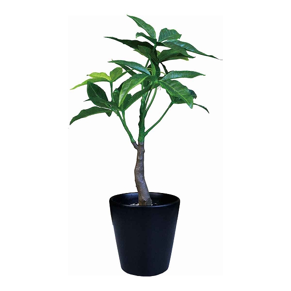 フェイクグリーン ブラックポットTS 光触媒 （ 人工観葉植物