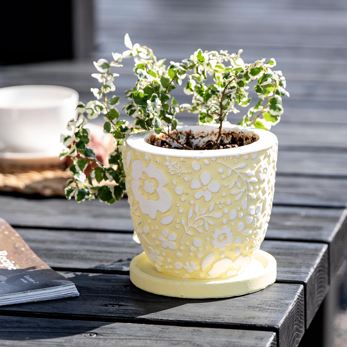 プランター クッカ ポット M （ 植木鉢 プラントポット 鉢植え 鉢 寄せ