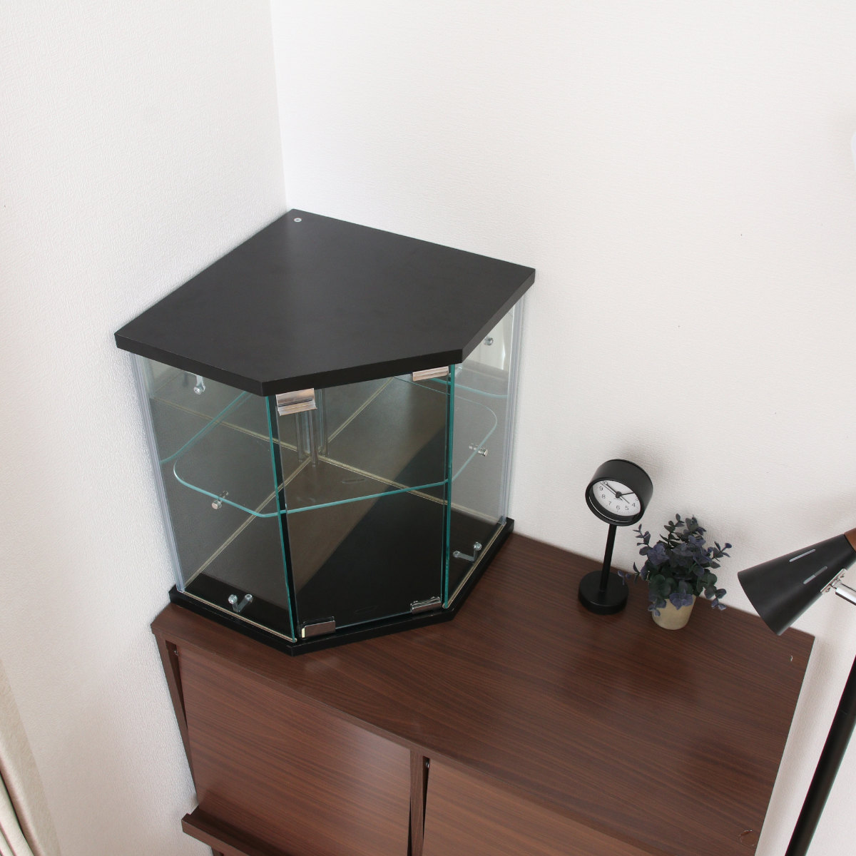 不二貿易（Fuji Boeki） コレクションケース ガラス コーナー型 五角形