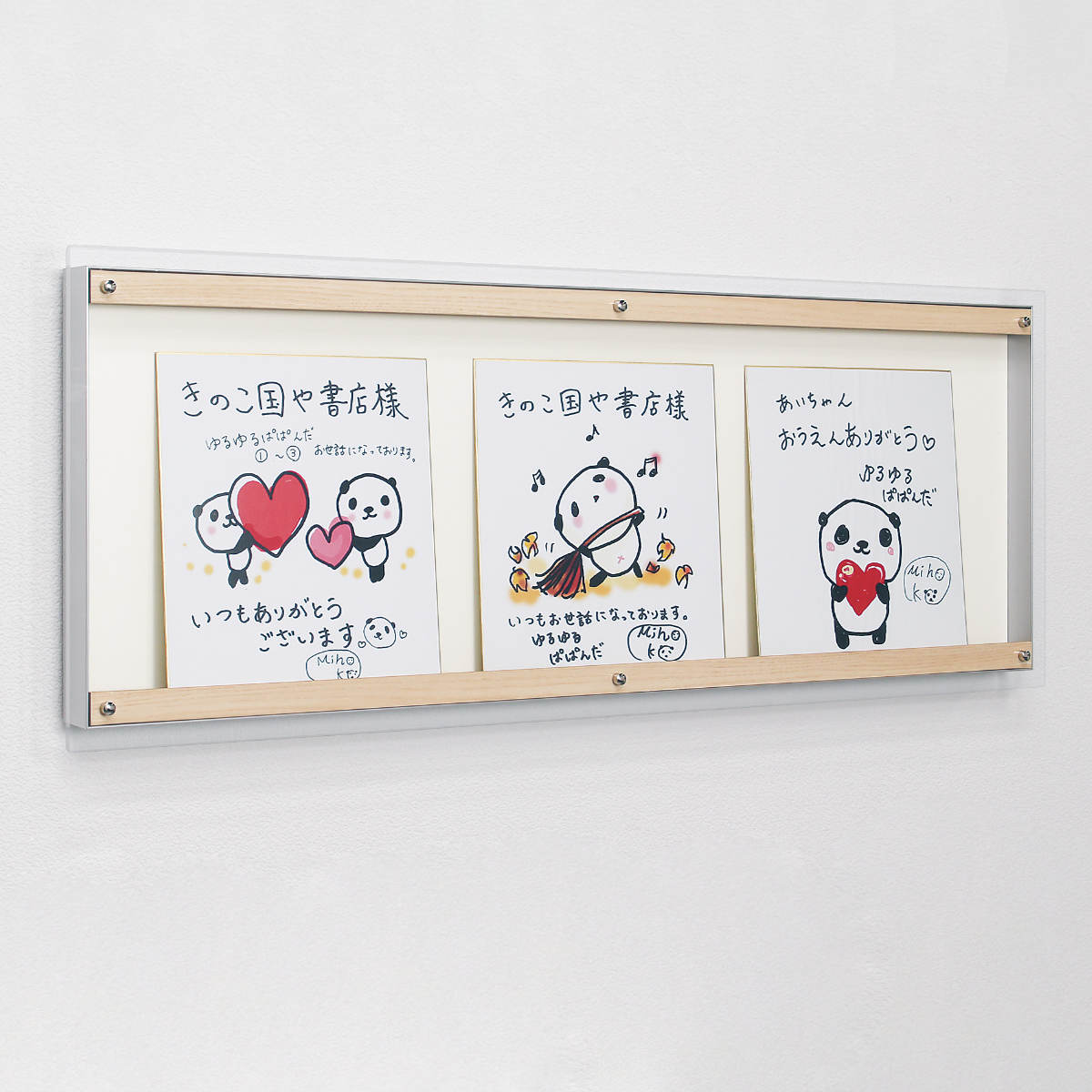 コレクションケース 88.3×28.3cm 壁掛け アクリルカバー パンフレット