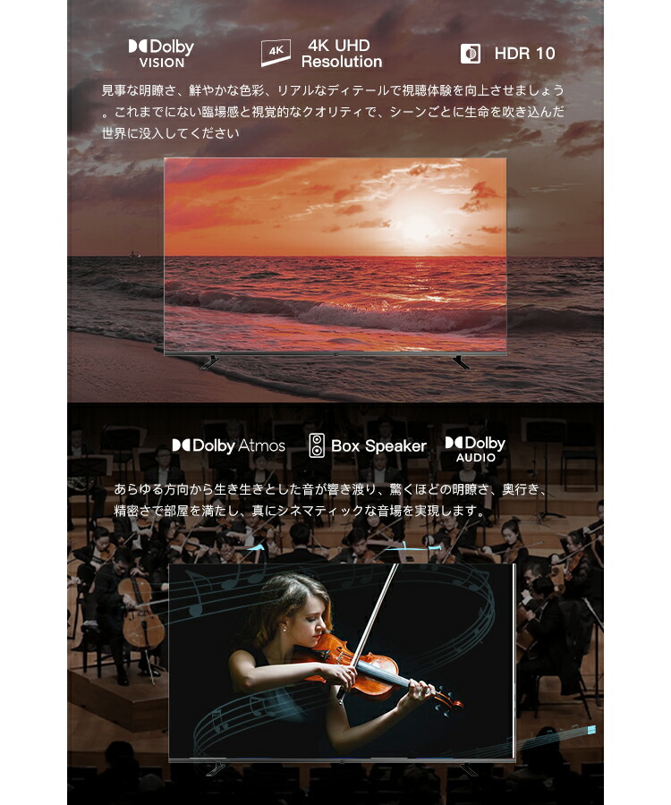 FPD チューナーレステレビ 55V型 4K Google TV ネット動画対応