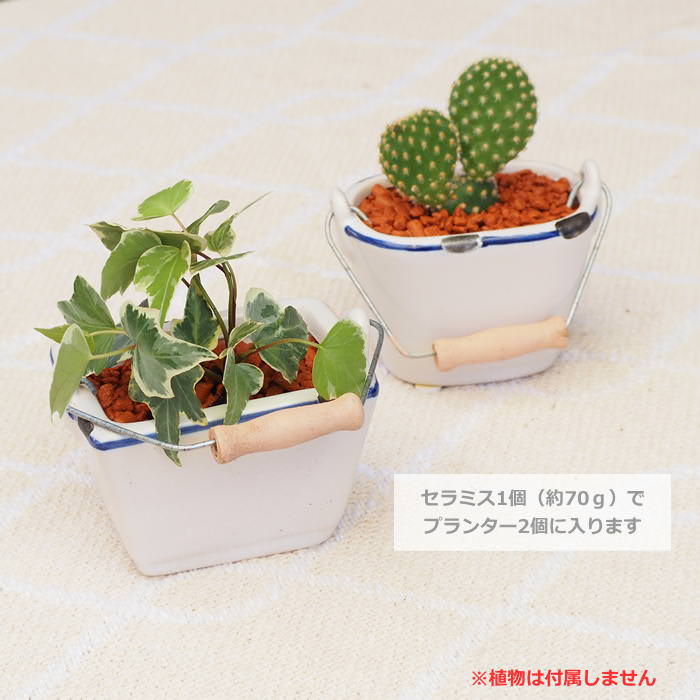 SPICE of Life（スパイス オブ ライフ） ハイドロカルチャー 水耕栽培