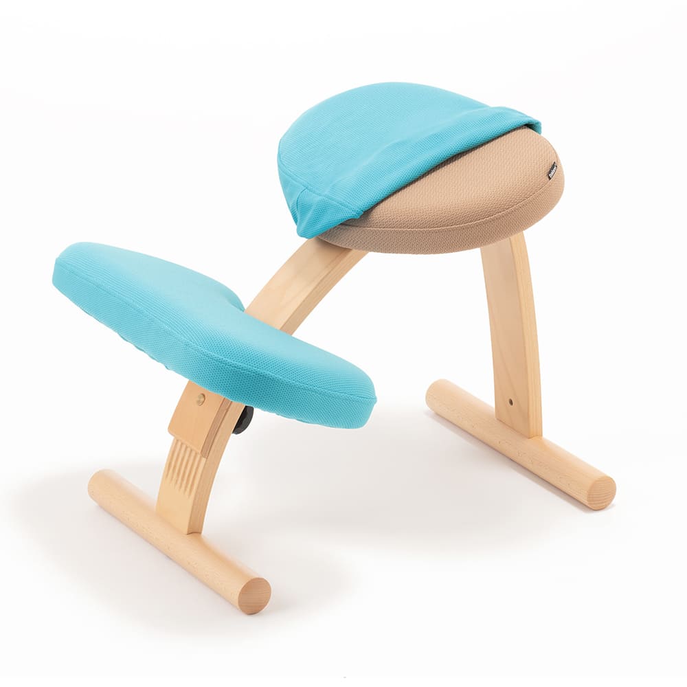 バランスラボ バランスチェア バランスチェアー バランスイージー