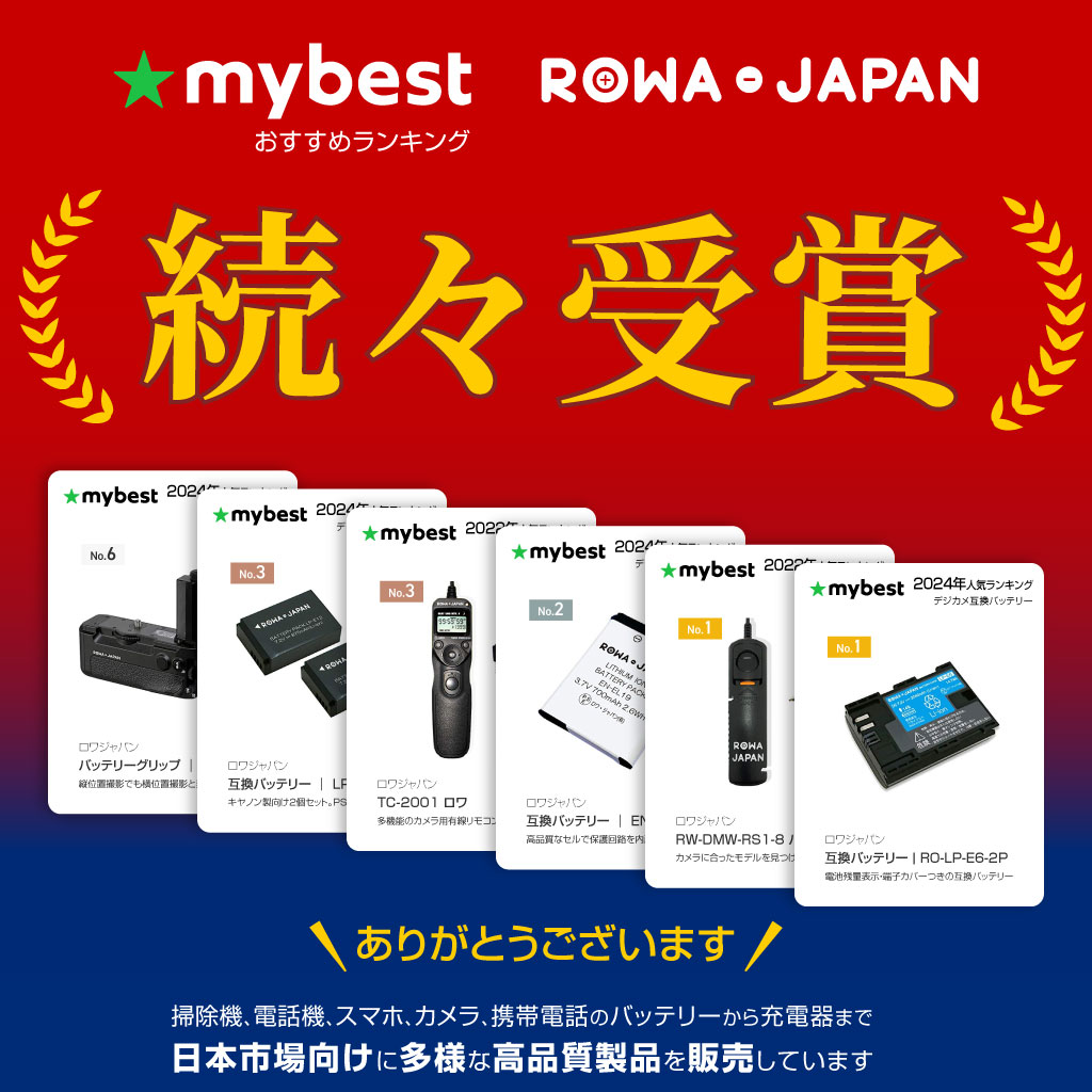 ロワジャパン 【互換品】 新旧モデル兼用 Nintendo Switch対応 HEG-001