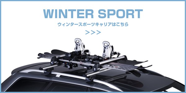 Thule（スーリー） スキー板・スノーボード用キャリア SnowPack