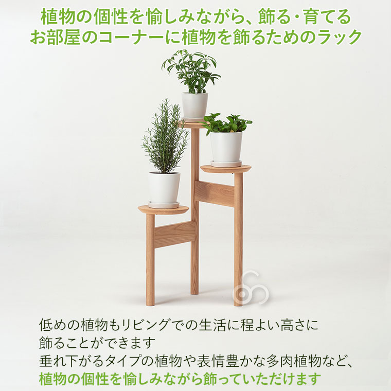 cosine（コサイン） (プレゼント付) プラントスタンド GP-08CT 旭川