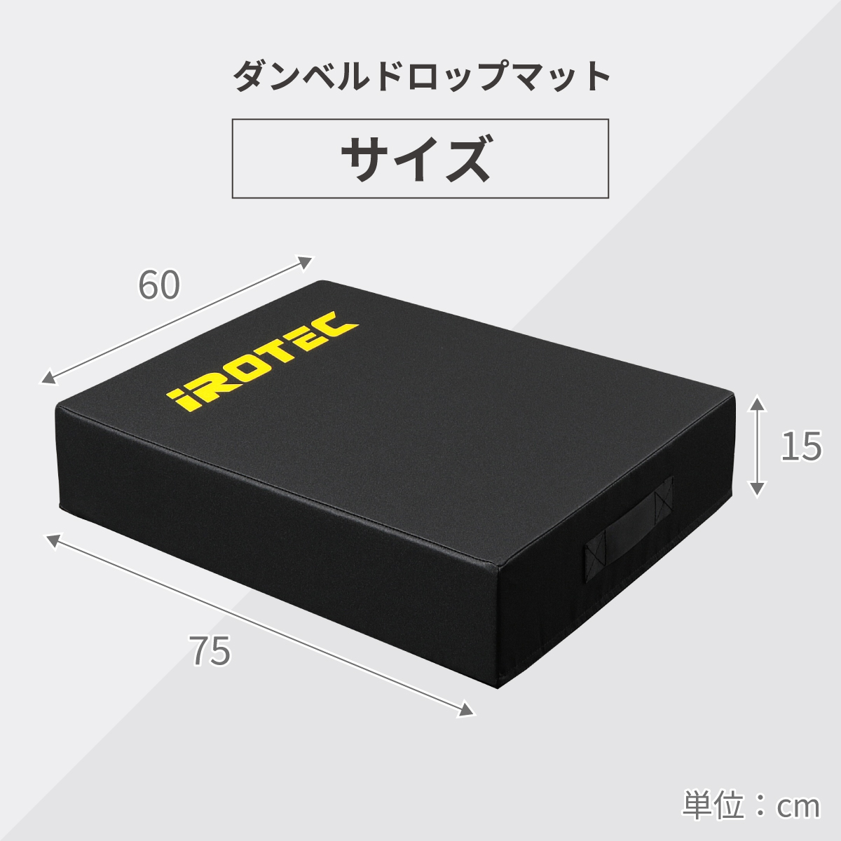IROTEC（アイロテック） ダンベルドロップマット/ ダンベル