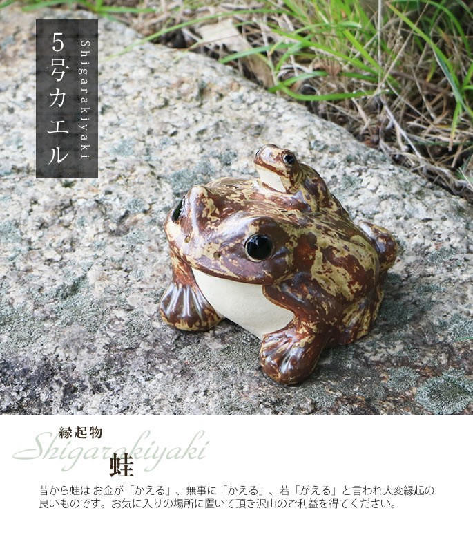 信楽焼 蛙 置物 かえる 陶器 縁起物 かわいい カエル おしゃれ ギフト