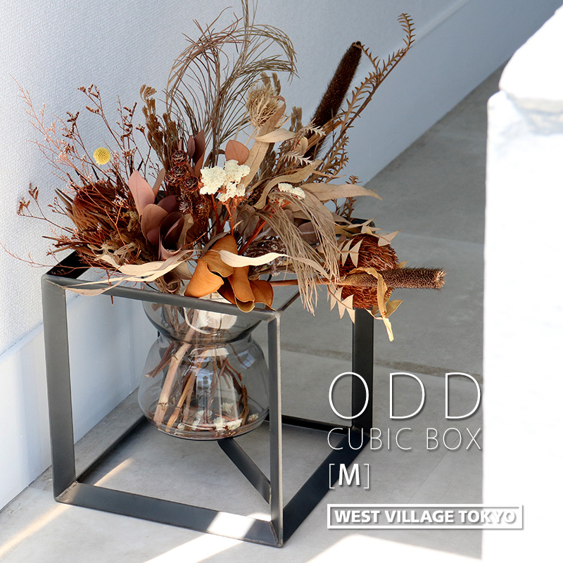 ディスプレイボックス プランタースタンド アイアン おしゃれ オッド