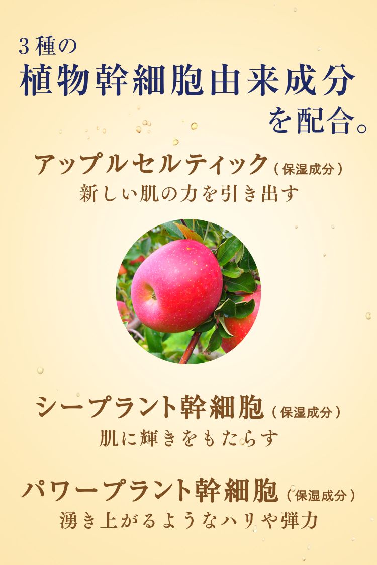 リッツ リバイバル リッチクレンジングウォッシュ ( 150g )/ LITS