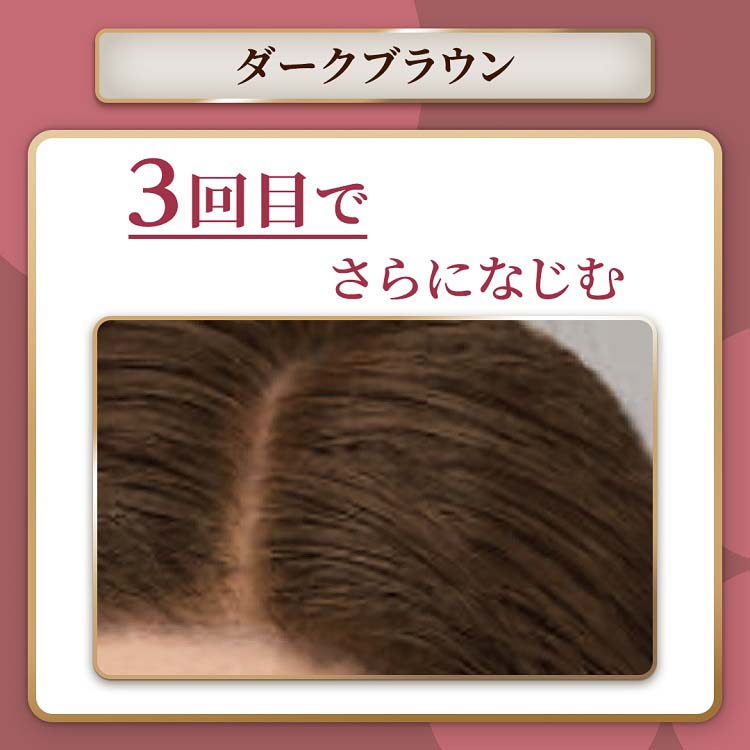 シエロ カラートリートメント リタッチ用 ダークブラウン ( 140g
