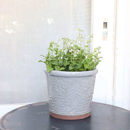 ガーデニング雑貨 陶器鉢 ウィリアムモリス パルナスポット Sサイズ