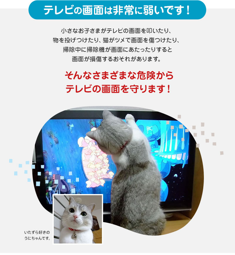 ブルーライトカット 有機ELテレビ 保護パネル 55型 55インチ ベルト付