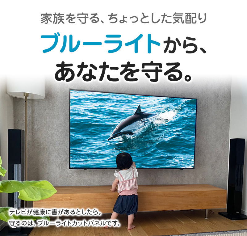ブルーライトカット 有機ELテレビ 保護パネル 55型 55インチ ベルト付