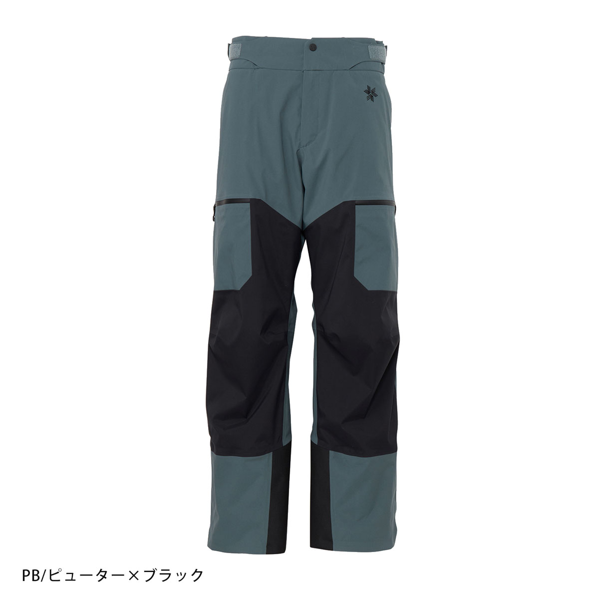 GOLDWIN（ゴールドウイン） スキーウェア パンツ メンズ レディース