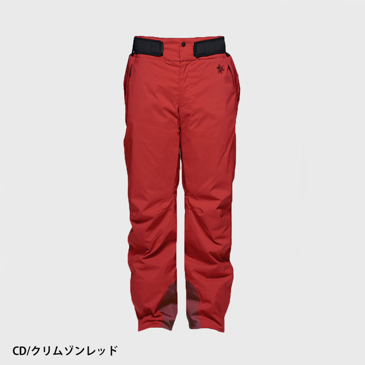 GOLDWIN（ゴールドウイン） スキーウェア スキーパンツ パンツ メンズ