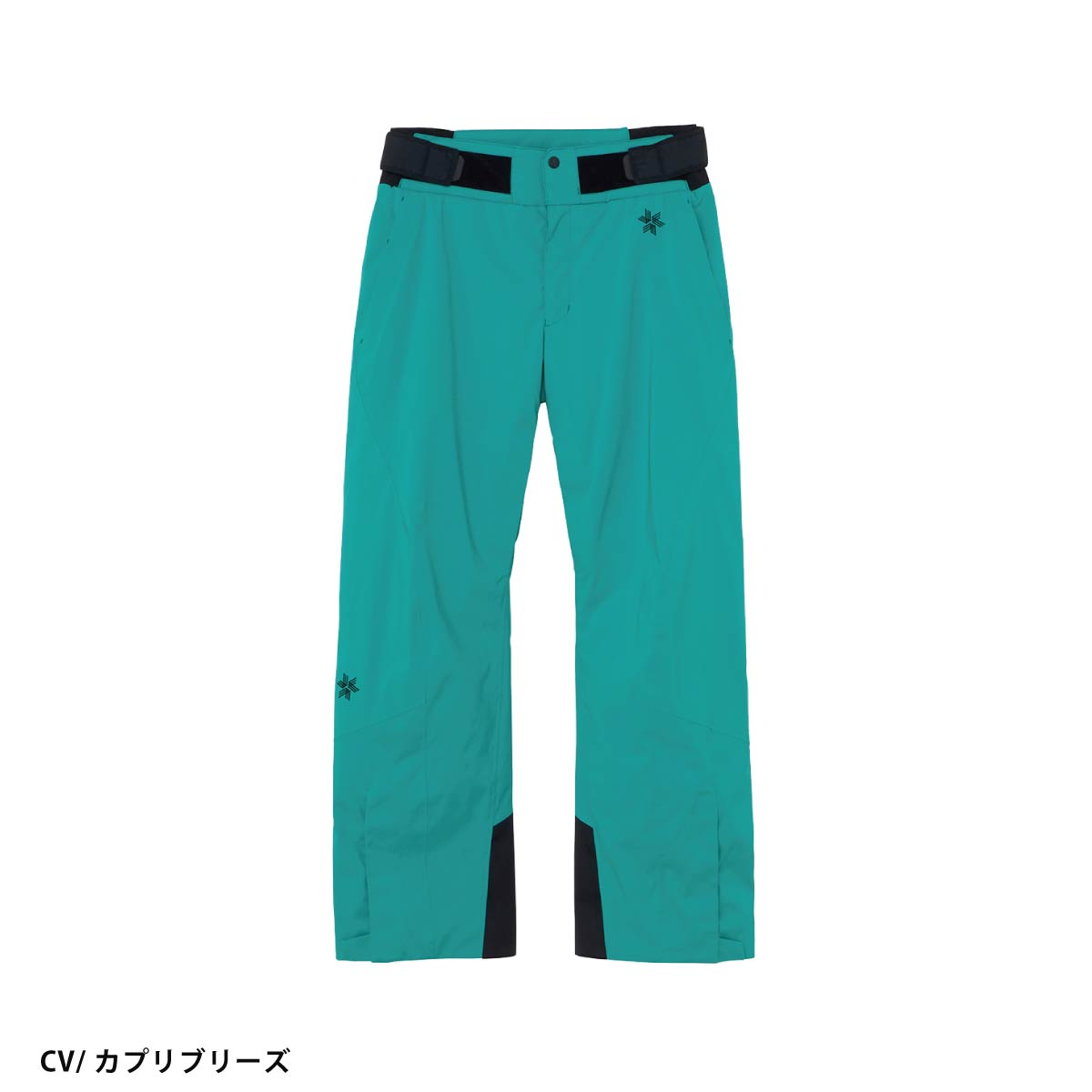 GOLDWIN（ゴールドウイン） スキーウェア スキーパンツ パンツ メンズ