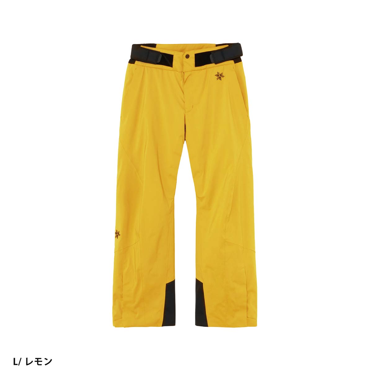 GOLDWIN（ゴールドウイン） スキーウェア スキーパンツ パンツ メンズ