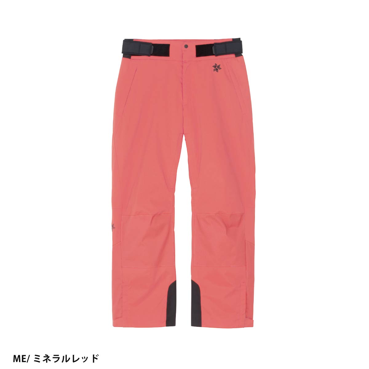 GOLDWIN（ゴールドウイン） スキーウェア スキーパンツ パンツ メンズ