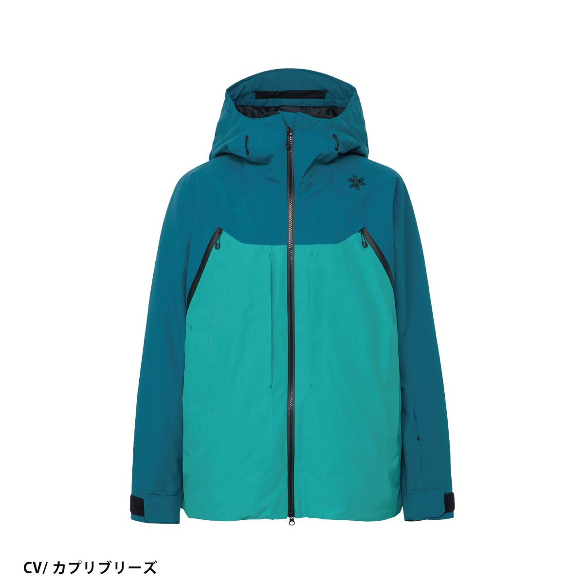 GOLDWIN（ゴールドウイン） スキーウェア メンズ スキージャケット