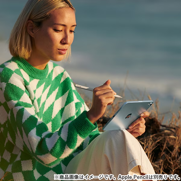 iPad Apple mini 8.3型 128GB MXN63J/A スペースグレイ Wi-Fiモデル