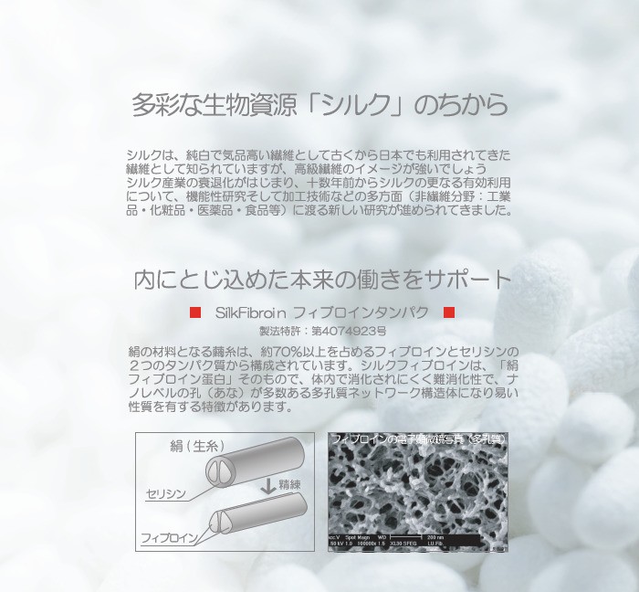 セラムシルクフィブロイン 1箱 300g (10g×30包) ピーチ味 ゼリー 賞味