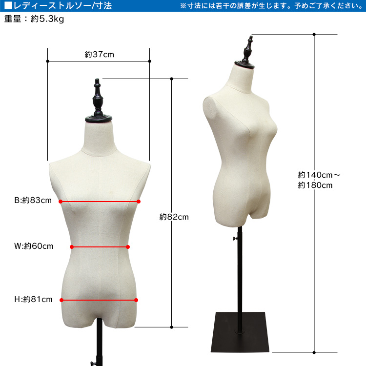 WEIMALL（ウェイモール） トルソー レディース 7号 幅37cm 高さ140