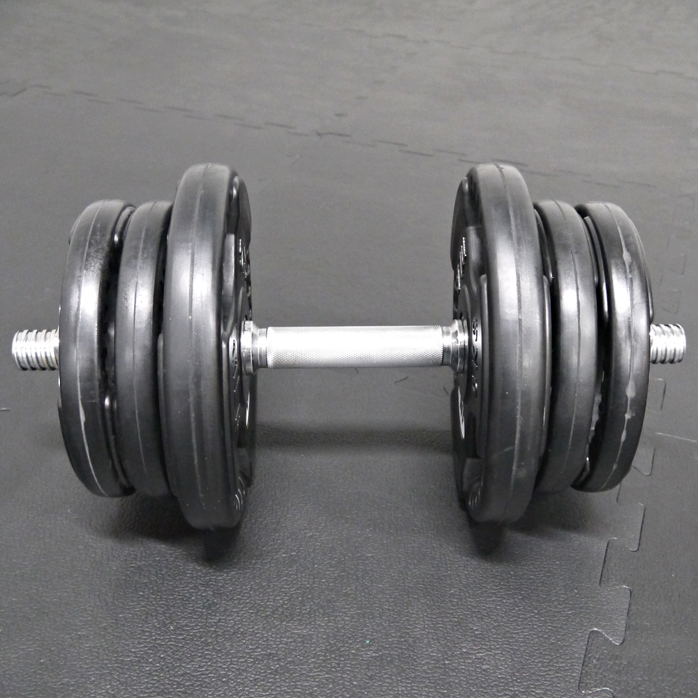 WILD FIT（ワイルドフィット） ダンベルセット 40kg 黒ラバー / 20kg×2