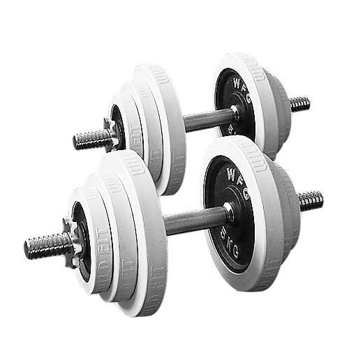 WILD FIT（ワイルドフィット） ダンベルセット 40kg 白ラバー / 筋トレ