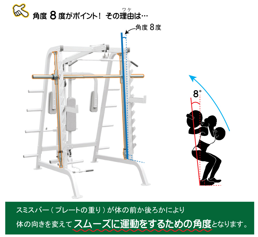 WILD FIT（ワイルドフィット） ハーフケージセット (ベンチ付) [Φ50